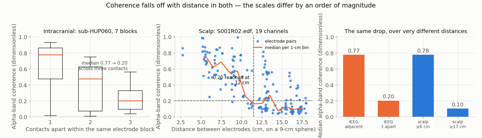 Three panels. Left: box plots of alpha-band coherence between stereo-EEG contacts against how many contacts apart they are within the same electrode block; the median falls from about 0.77 to about 0.20 across three contacts. Middle: alpha-band coherence between scalp electrodes against their separation in centimetres, with a per-centimetre median line; it also falls, but only reaches 0.20 near the far end of the head. Right: median coherence for four groups — adjacent and three-apart intracranial pairs, and near and far scalp pairs.