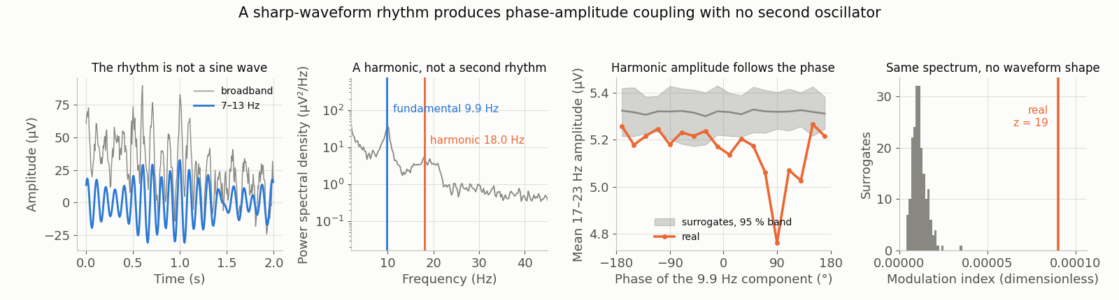 Four panels. First: two seconds of eyes-closed EEG in microvolts with its alpha-band component overlaid, showing a sharp, non-sinusoidal waveform. Second: the power spectral density in microvolts squared per hertz with the fundamental and its second harmonic marked. Third: the mean amplitude of the harmonic band in microvolts against the phase of the fundamental in degrees, which varies strongly, with a flat band showing the same curve for phase-randomised surrogates. Fourth: a histogram of the modulation index across surrogates, with the real value far to its right.